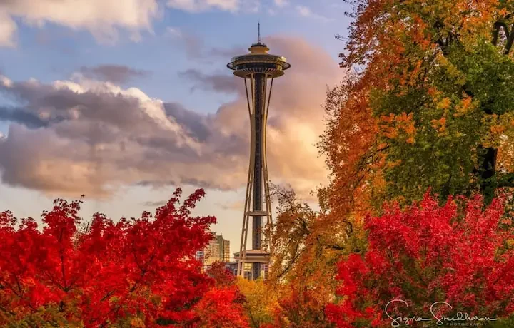 Montreux Condominiums Seattle skyline